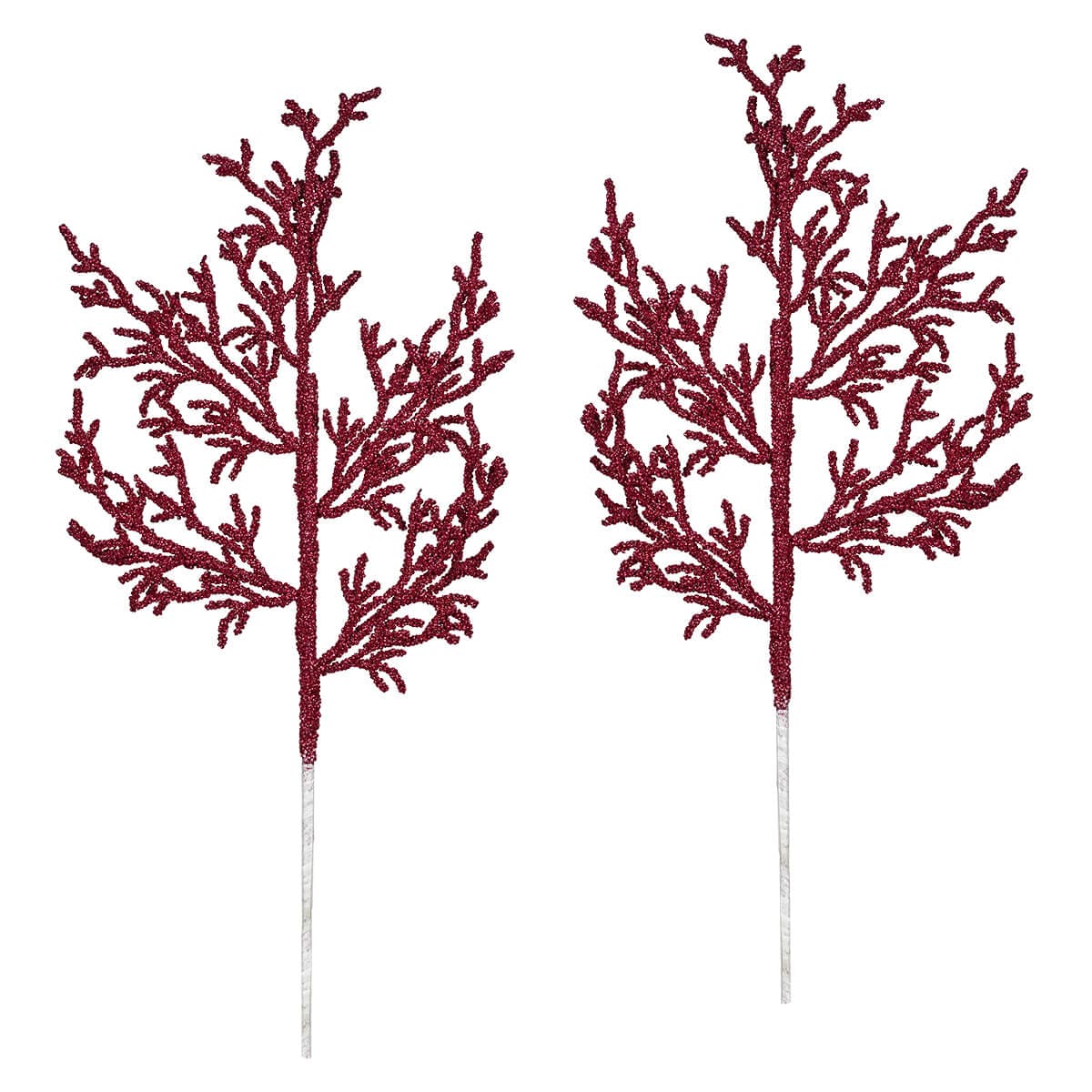 Seashore Tabletop & Hanging Decor